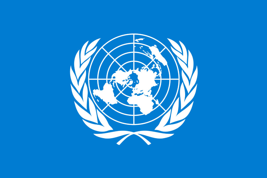 Венская конвенция ООН о дорожном движении